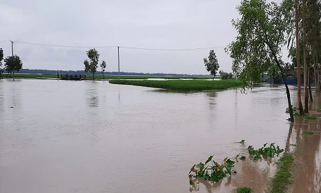 বিপৎসীমার নিচে তিস্তার পানি, কমছে বন্যার পানি