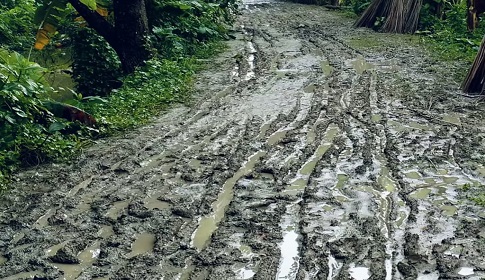 বর্ষায় কাদার সাগরে বনগ্রামের রাস্তা, ইটের সড়কের দাবিতে শতাধিক পরিবারের আকুতি