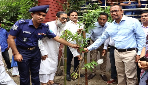 ফরিদপুরে ‘প্রাথমিক শিক্ষা পদক’ ও বৃক্ষরোপণ কর্মসূচির উদ্বোধন
