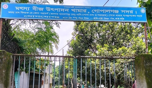 গোপালগঞ্জ মৎস্যবীজ উৎপাদন খামারে লক্ষ্যমাত্রা অর্জন 