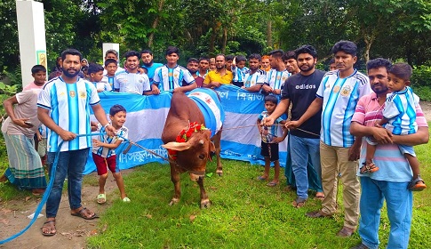 ফাইনাল উপভোগে গরু জবাই করে ভূরিভোজের আয়োজন 