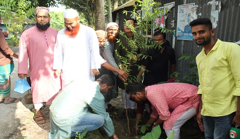 রাজবাড়ীতে স্বেচ্ছাসেবী সংগঠনের উদ্যোগে বৃক্ষরোপণ ও মাদক বিরোধী আলোচনা সভা