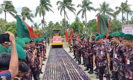 শ্যামনগরে নীলডুমুর ১৭ বিজিবি কতৃক আটককৃত মাদকদ্রব্য ধ্বংস