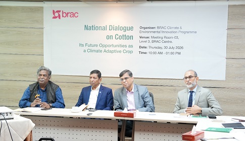 দেশে তুলা চাষের অপার সম্ভাবনা, প্রয়োজন সমন্বিত উদ্যোগ ও প্রণোদনা