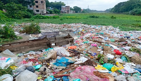 নদীতে ফেলা হচ্ছে মুকসুদপুর পৌরসভার বর্জ্য 