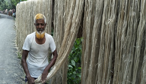 সোনাতলায় ৫১ কোটি টাকার পাট বিক্রির আশা
