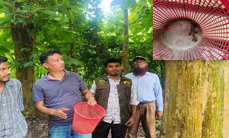 চন্দ্রঘোনা থেকে বিরল প্রজাতির হাঁসপা তক্ষক উদ্ধার, আটক ১