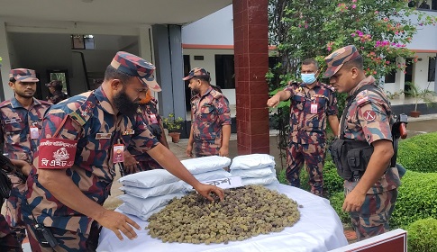 সাতক্ষীরায় বিজিবির অভিযানে ৬ কোটি টাকার ‘কুশ’ জব্দ, আটক ১