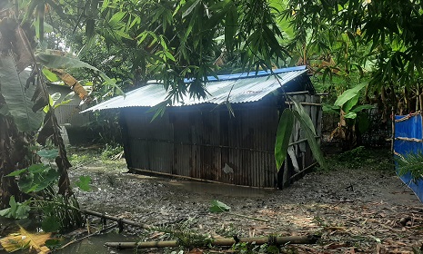 কালিগঞ্জে ৬ হিন্দু পরিবারের জমি দখল, অবৈধ স্থাপনা সরিয়ে নেওয়ার নির্দেশ 