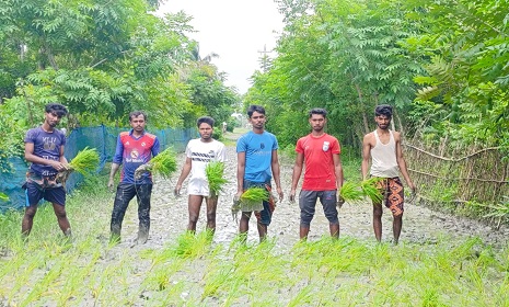 রাস্তা সংস্কার না হওয়ায় ধান রোপণ করে প্রতিবাদ