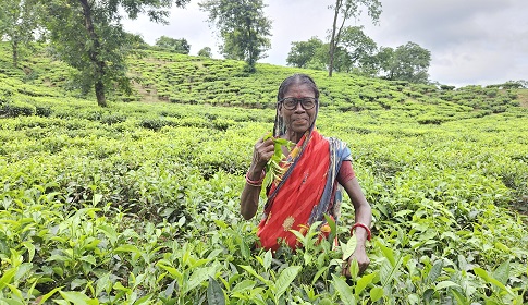 ২ হাজার চা-শ্রমিক ও পরিবারের দৃষ্টিসেবায় ব্র্যাক ব্যাংক ও ভিশনস্প্রিং