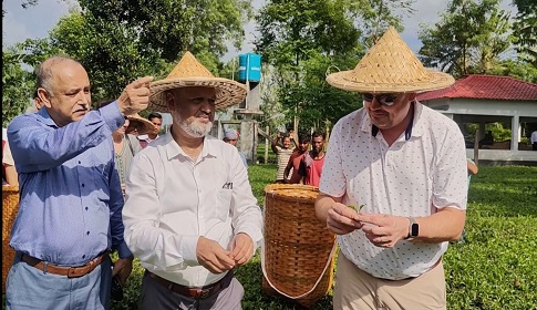 ঠাকুরগাওয়ে চা বাগান ও পুরনো আমগাছ পরিদর্শনে যুক্তরাষ্ট্রের রাষ্ট্রদূত ব্রেন্ট টি