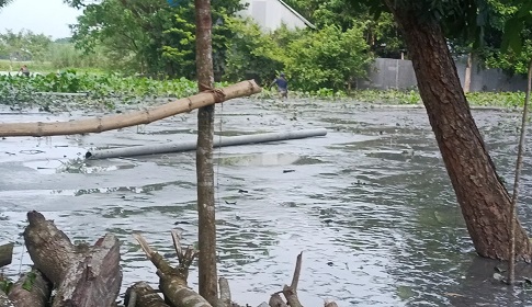 ফসলি জমি কেটে অবৈধ বালু উত্তোলনের অভিযোগ, চরম দুর্ভোগে নগরকান্দার কৃষক