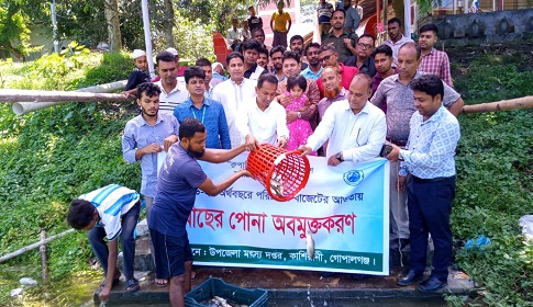 কাশিয়ানীতে ১২টি জলাশয়ে ২৮৬ কেজি মাছের পোনা অবমুক্ত