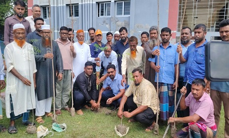 নড়াইলে  শ্রমিকদল নেতা শেখ হুমায়ূন কবিরের ব্যক্তিগত উদ্যোগে বৃক্ষরোপণ কর্মসূচির উদ্বোধন 