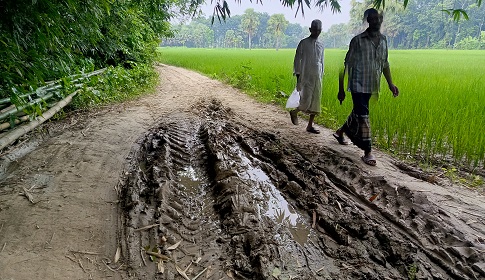 সালথার কামাইদিয়া স্কুল সড়কের বেহাল দশা, দুর্ভোগে এলাকাবাসী
