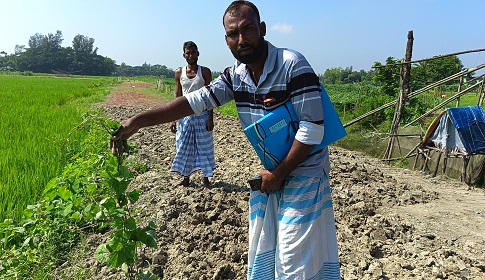 সুবর্ণচরে আদালতের নিষেধাজ্ঞা অমান্য করে সবজি বাগান ধুলিস্যাৎ