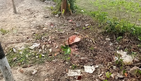 বিদ্যালয়ের গাছ কাটার অভিযোগ স্কুলের প্রধান শিক্ষকের বিরুদ্ধে