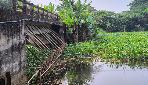 ব্রিজের মুখ ভরাট করে সরকারি জমি দখল