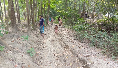 সালথার ফুলবাড়িয়ায় ৩শ' ফুট রাস্তার অভাবে দুর্ভোগে এলাকাবাসী