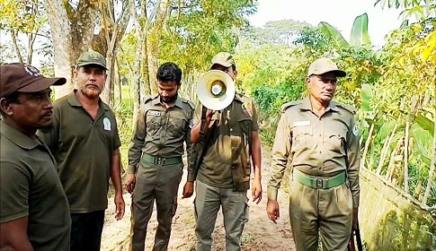 সুন্দরবন ছেড়ে আবারো লোকালয়ে বাঘ, ড্রোন উড়িয়েও মেলেনি সন্ধান
