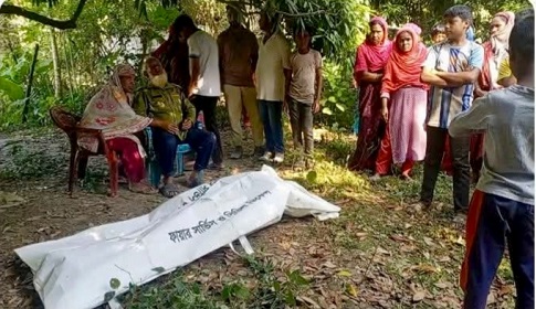 শিয়াল তাড়ানোর বৈদ্যুতিক ফাঁদে প্রাণ গেল খামার শ্রমিকের