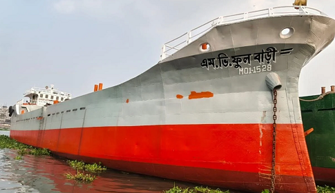 মোংলা বন্দর চ্যানেলে ফের কয়লাবাহী কার্গোডুবি, সুন্দরবনের পরিবেশ বিপর্যয়ের শঙ্কা