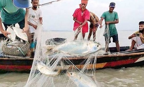মধ্যরাতে শুরু হচ্ছে জাটকা শিকারে ৮ মাসের নিষেধাজ্ঞা