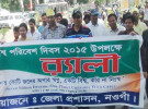 নওগাঁয় বিশ্ব পরিবেশ দিবস পালিত