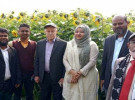 রানীগঞ্জে সূর্যমুখীর বাম্পার ফলনে কৃষকের মুখে হাসি