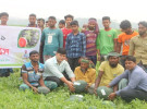 নোয়াখালীতে ব্ল্যাক কিং তরমুজ চাষে লাভবান কৃষক