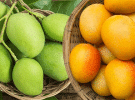 সকল রোগের জন্য শক্তিশালী প্রতিরোধক রসাল ফল আম