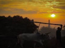 অঘ্রাণ