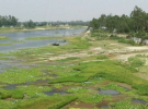 নদী রক্ষা: আইন আছে প্রয়োগ নেই