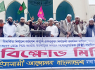 জাতীয় পার্টি জাতির জন্য একটা বিষফোড়া: ইসলামী আন্দোলন