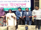 কেন্দুয়ায় অভ্যন্তরীন আমন সংগ্রহ শুরু