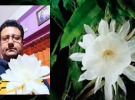 অধ্যাপকের ছাদ বাগানে রাতের অতিথি ‘নাইট কুইন’ 