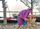 নদীতে কুড়িয়ে পাওয়া পাতায় হাড়ি জ্বলে তরী বালার