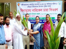 ফরিদপুরে ৩০০ কৃষকের মাঝে বিনামূল্যে নারিকেল চারা বিতরণ