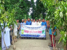 নগরকান্দায় বিনামূল্যে বারি আম-৪ জাতের চারা বিতরণ 