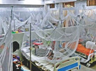 ডেঙ্গুতে একজনের মৃত্যু, আক্রান্ত ৩৮৬