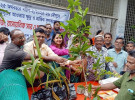 বিনামূল্যে গাছের চারা বিতরণ
