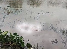 চাটমোহরে গুমানী নদী থেকে অজ্ঞাত শিশুর মরদেহ উদ্ধার