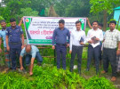 সুবর্ণচরে ইউক্যালিপটাস ও আকাশমনি গাছের চারা ধ্বংসে অভিযান