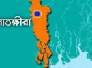 কলারোয়ায় চালককে হত্যা করে হজিবাইক ছিনতাই