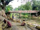 সালথায় পাট কাটা ও আঁশ ছাড়ানো কাজে ব্যস্ত চাষিরা