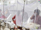 ডেঙ্গুতে ৩ জনের মৃত্যু, হাসপাতালে ৪০৮ জন