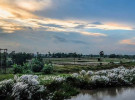 শরৎ