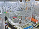 এক সপ্তাহে ডেঙ্গুতে ১২ জনের মৃত্যু