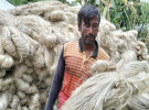 কৃষকের সোনালী আঁশে ভরে গেছে সোনাতলার হাট বাজার